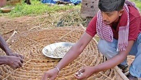 ತೀವ್ರ ಸಂಕಷ್ಟದಲ್ಲಿ ರೇಷ್ಮೆ ಬೆಳೆಗಾರರು ಮತ್ತು ನೇಕಾರ ಕುಟುಂಬ