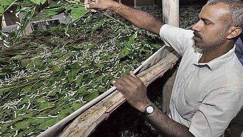 ಸಾಂದರ್ಭಿಕ ಚಿತ್ರ