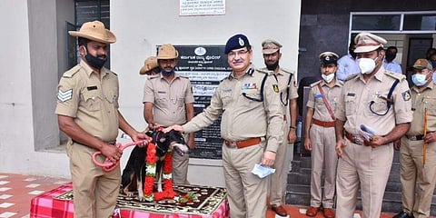 ತುಂಗಾ ನಾಯಿಗೆ ಅಭಿನಂದನೆ