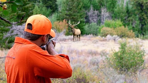 ಸಾಂದರ್ಭಿಕ ಚಿತ್ರ