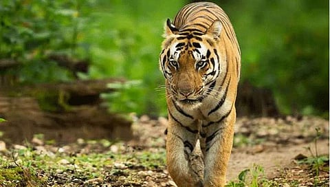 ಸಾಂದರ್ಭಿಕ ಚಿತ್ರ