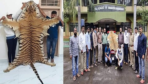 ಮೈಸೂರು: ಹುಲಿ ಚರ್ಮ ವಶ, ಇಬ್ಬರ ಬಂಧನ