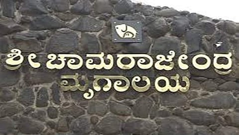 ಮೈಸೂರು ಮೃಗಾಲಯ