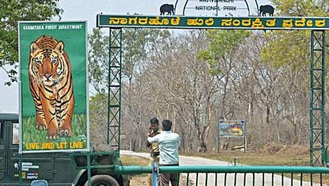 ನಾಗರಹೊಳೆ ಹುಲಿ ಅಭಯಾರಣ್ಯ