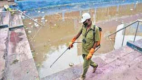ಕಪಿಲೇಶ್ವರ ಕೆರೆಯ ಸುತ್ತ ಸ್ವಚ್ಛಗೊಳಿಸುತ್ತಿರುವ ಸಿಬ್ಬಂದಿ