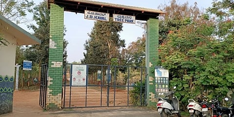 ಜೆ ಬಿ ಕಾವಲ್ ಟ್ರೀ ಪಾರ್ಕ್