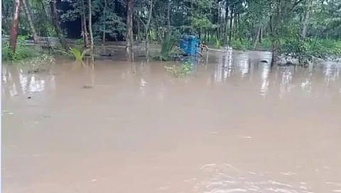 ಮಂಡ್ಯದಲ್ಲಿ ಜಮೀನಿಗೆ ನುಗ್ಗಿದ ನೀರು