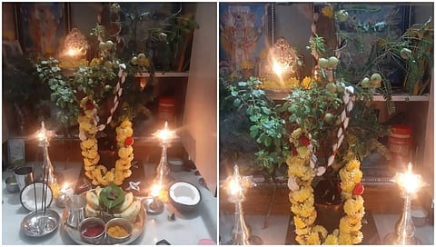 ತುಳಸಿ ಪೂಜೆ(ಫೋಟೋ-ಶಿಲ್ಪ ಡಿ ಚೆಕ್ಕೆರೆ)