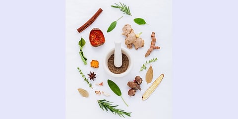 ಚಳಿಗಾಲದ ಆಹಾರ ಕ್ರಮ (ಕುಶಲವೇ ಕ್ಷೇಮವೇ)