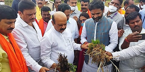 ಬೆಳೆ ಹಾನಿ ಪರಿಶೀಲನೆ ನಡೆಸಿದ ಸಿಎಂ ಬೊಮ್ಮಾಯಿ