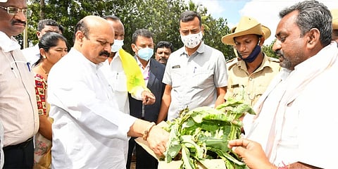 ಬೆಳೆ ಹಾನಿ ಪರಿಶೀಲನೆ ನಡೆಸಿದ ಸಿಎಂ ಬೊಮ್ಮಾಯಿ