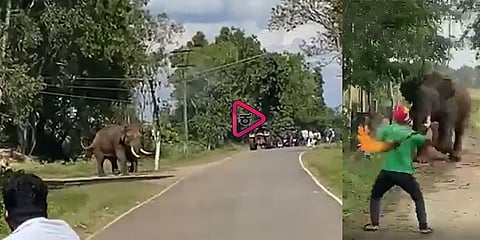 ಆನೆ ಮೇಲೆ ಸಾರ್ವಜನಿಕರ ದಾಳಿ