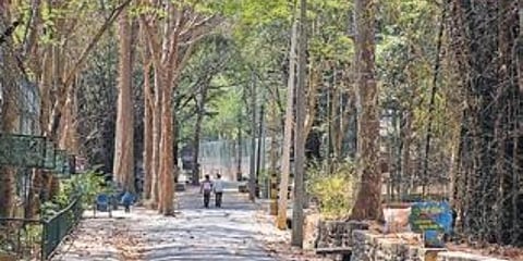 ಸಂಗ್ರಹ ಚಿತ್ರ