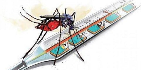 ಸಂಗ್ರಹ ಚಿತ್ರ