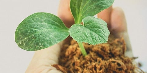 ಸಾಂದರ್ಭಿಕ ಚಿತ್ರ