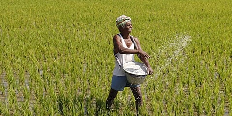 ಸಾಂದರ್ಭಿಕ ಚಿತ್ರ