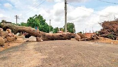 ವಾಹನ ಓಡಾಡದಂತೆ ಬೃಹತ್ ಮರದ ತುಂಡನ್ನು ದಾರಿಗೆ ಅಡ್ಡಲಾಗಿ ಇಟ್ಟ ಗ್ರಾಮಸ್ಥರು