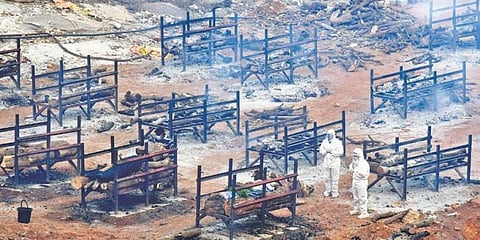 ಸಂಗ್ರಹ ಚಿತ್ರ