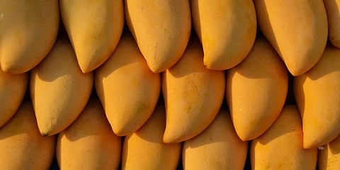 ಸಾಂದರ್ಭಿಕ ಚಿತ್ರ