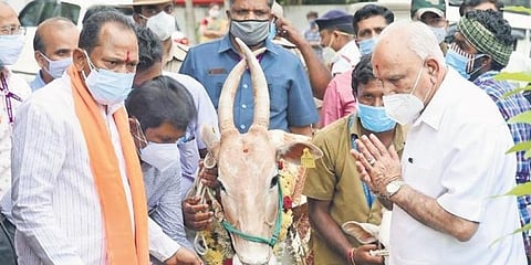 ಪ್ರಾಣಿ ಕಲ್ಯಾಣ ಸಹಾಯವಾಣಿ ಕೇಂದ್ರಕ್ಕೆ ಚಾಲನೆ ನೀಡುವುದಕ್ಕೂ ಮುನ್ನ ಜಾನುವಾರಿಗೆ ಪೂಜೆ ಸಲ್ಲಿಸಿದ ಸಿಎಂ ಯಡಿಯೂರಪ್ಪ ಹಾಗೂ ಸಚಿವ ಪ್ರಭು ಚೌವ್ಹಾಣ್