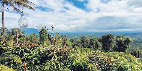 ಸಂಗ್ರಹ ಚಿತ್ರ