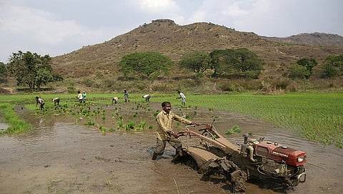 ಸಾಂದರ್ಭಿಕ ಚಿತ್ರ