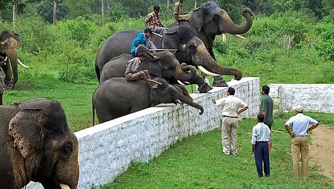 ಸಂಗ್ರಹ ಚಿತ್ರ