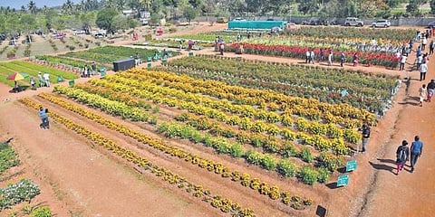 ಸಂಗ್ರಹ ಚಿತ್ರ