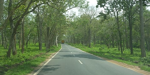 ಬಂಡೀಪುರ ಮಾರ್ಗ