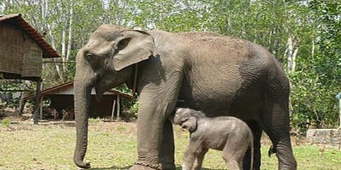 ಸಾಂದರ್ಭಿಕ ಚಿತ್ರ
