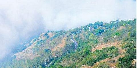 ನಂದಿ ಹಿಲ್ಸ್