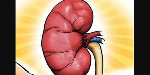 ಸಾಂದರ್ಭಿಕ ಚಿತ್ರ