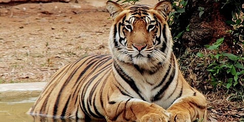 ಸಾಂದರ್ಭಿಕ ಚಿತ್ರ