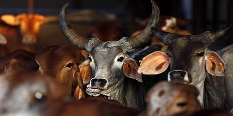 ಸಾಂದರ್ಭಿಕ ಚಿತ್ರ