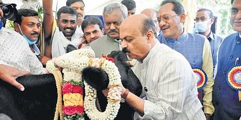 ಕರ್ನಾಟಕ ಹಾಲು ಮಹಾಮಂಡಳದ ಸಾಮೂಹಿಕ ಯೋಜನೆಗಳನ್ನು ಉದ್ಘಾಟಿಸಿದ ಸಿಎಂ ಬೊಮ್ಮಾಯಿ