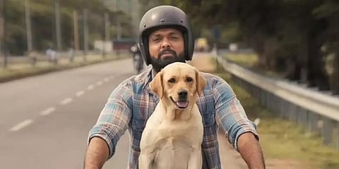 777 ಚಾರ್ಲಿ ಸಿನಿಮಾ ಸ್ಟಿಲ್