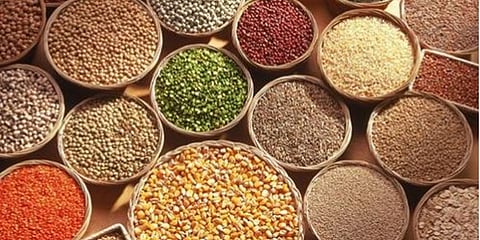 ಸಿರಿಧಾನ್ಯಗಳು