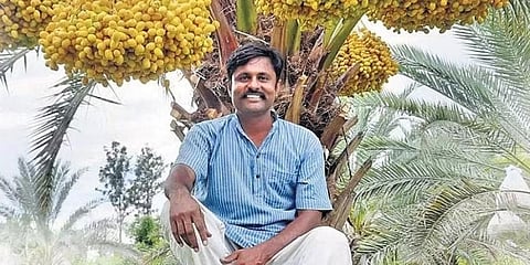 ತಾಳೆ ಬೆಳೆದ ರೈತ