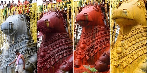 ಚಾಮುಂಡಿಬೆಟ್ಟದ ಮೇಲಿನ ಏಕಶಿಲಾ ವಿಗ್ರಹ ಮಹಾ ನಂದಿಗೆ ಭಾನುವಾರ ಮಹಾಭಿಷೇಕ ನೆರವೇರಿತು.