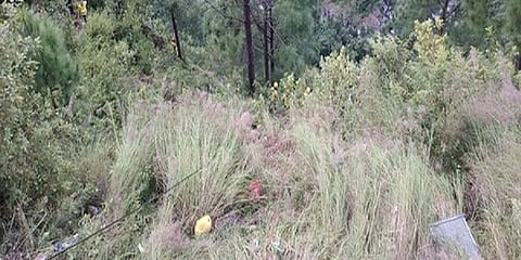 ಸಾಂದರ್ಭಿಕ ಚಿತ್ರ