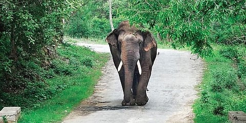 ಸಾಂದರ್ಭಿಕ ಚಿತ್ರ