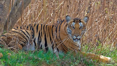 ಸಂಗ್ರಹ ಚಿತ್ರ