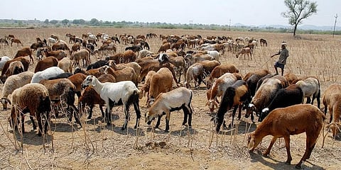 ಪ್ರಾತಿನಿಧಿಕ ಚಿತ್ರ