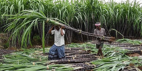 ಸಂಗ್ರಹ ಚಿತ್ರ