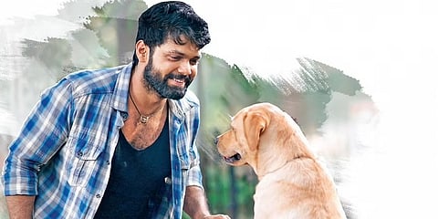 777 ಚಾರ್ಲಿ ಚಿತ್ರದ ಸ್ಟಿಲ್.