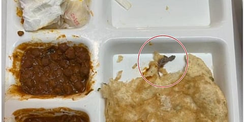 ಊಟದಲ್ಲಿ ಪತ್ತೆಯಾಯ್ತು ಹಲ್ಲಿ