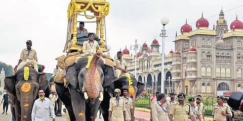 ಮೈಸೂರು ದಸರಾ ಸಾಂದರ್ಭಿಕ ಚಿತ್ರ