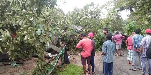 ಮನೆಯ ಮೇಲೆ ಭಾರೀ ಗಾತ್ರದ ಮರ ಬಿದ್ದು ತಾಯಿ ಮಗಳು ಸಾವು