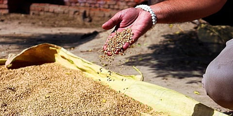 ರಾಷ್ಟ್ರೀಯ ಆಹಾರ ಭದ್ರತಾ ಕಾಯ್ದೆ