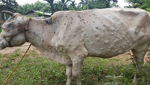 ಸಂಗ್ರಹ ಚಿತ್ರ